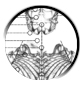 [Telematic System] Bio-feedback suit